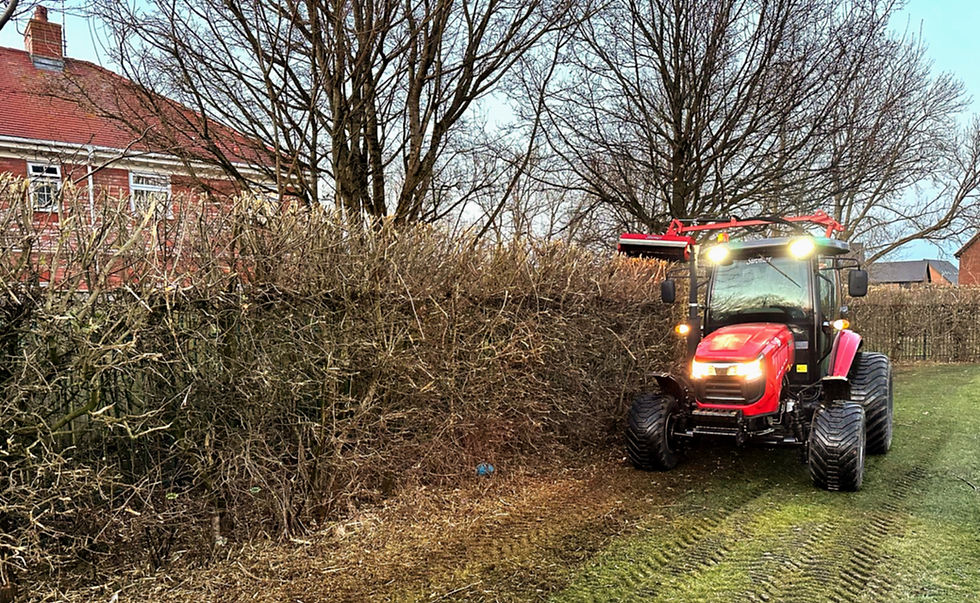 a siromer hedge trimmer in the field
