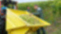 DSCF6518.JPG