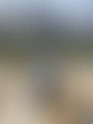 Honeymoon in the Mountains.