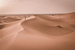 Desert