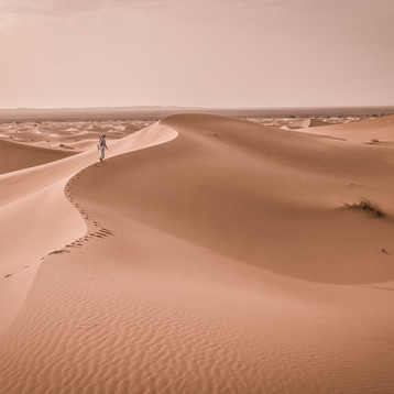 Desert