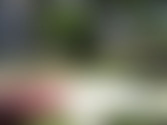 UFMG regulamenta inclusão de atividades de extensão nos currículos da graduação