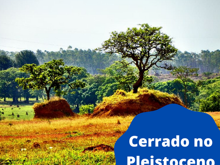 Cerrado no Pleistoceno