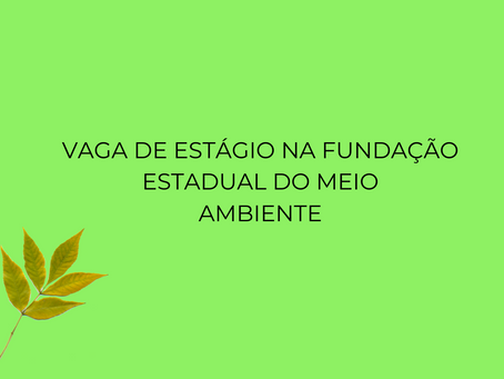 VAGA DE ESTÁGIO NA FUNDAÇÃO ESTADUAL DO MEIOAMBIENTE