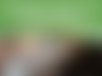 Seminário - Tecnologias em topografia por satélite/AW3D e radar/SAR para barragens e áreas de risco