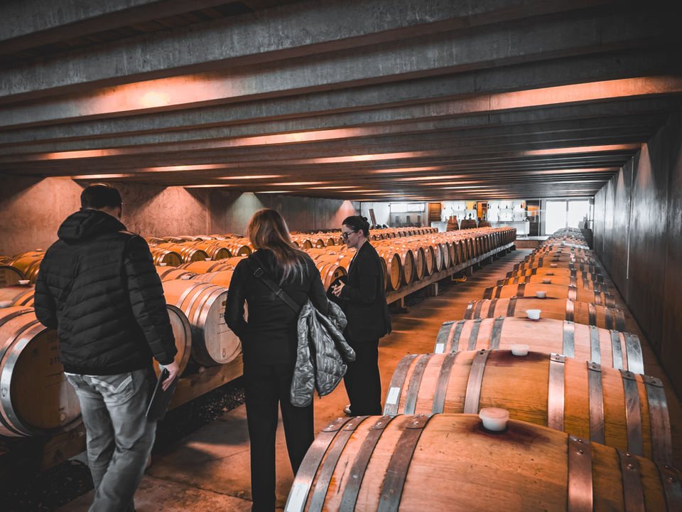 Barrel hall experience on our VIP Experience