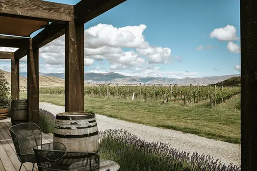 Latitude 45 Wine Tours New Zealand