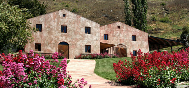 Latitude 45 wine tours New Zealand