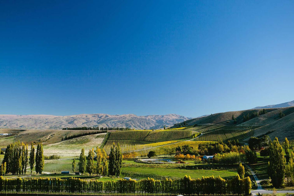 Latitude 45 Wine Tours New Zealand