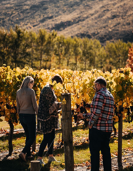 Small batch wine experience with Latitude 45 wine tours Queenstown