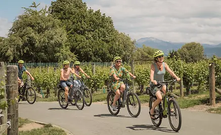 WN+Bike+Tour+-+WEB+USE-1386+(2).jpg.webp