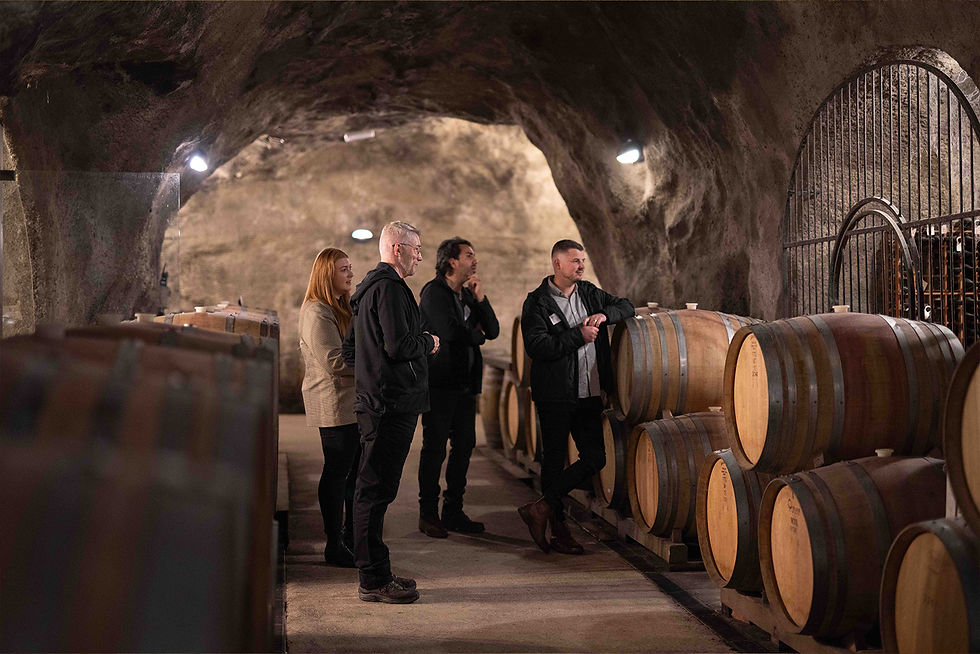 Cave-Tour-1-2.jpg