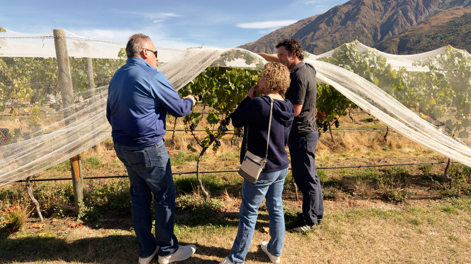 Couple learning about grape vines from a vineyard manager