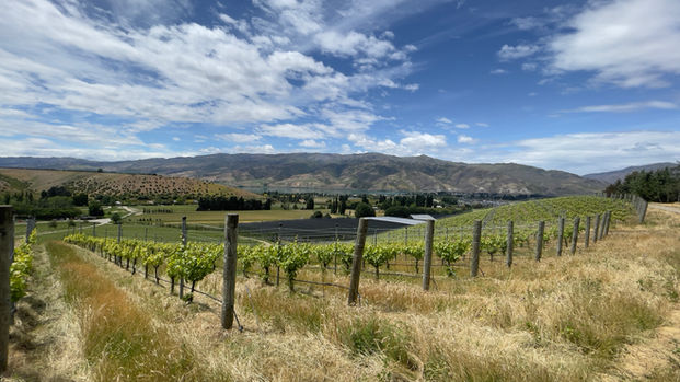 Latitude 45 Wine Tours New Zealand