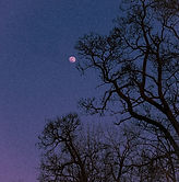 Album Promotion 2.jpg