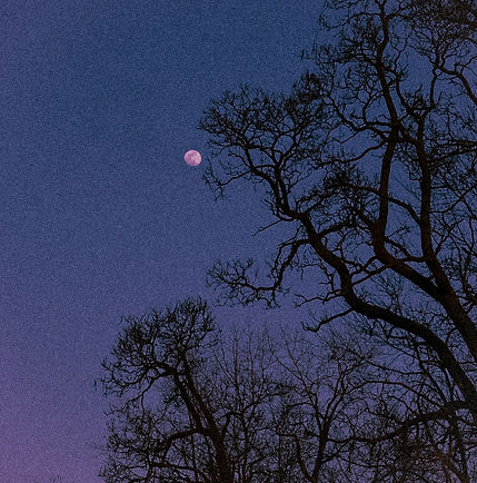 Album Promotion 2.jpg