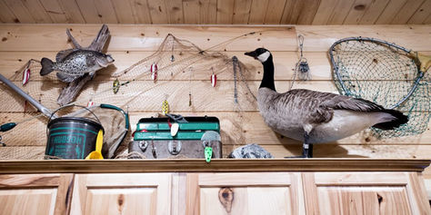 Taxidermied goose, fish, fishing gear on shelf