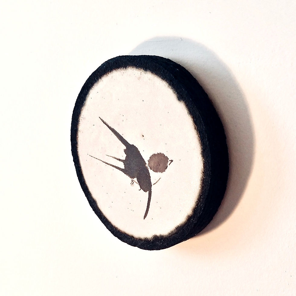 Thumbnail: swallow circle V