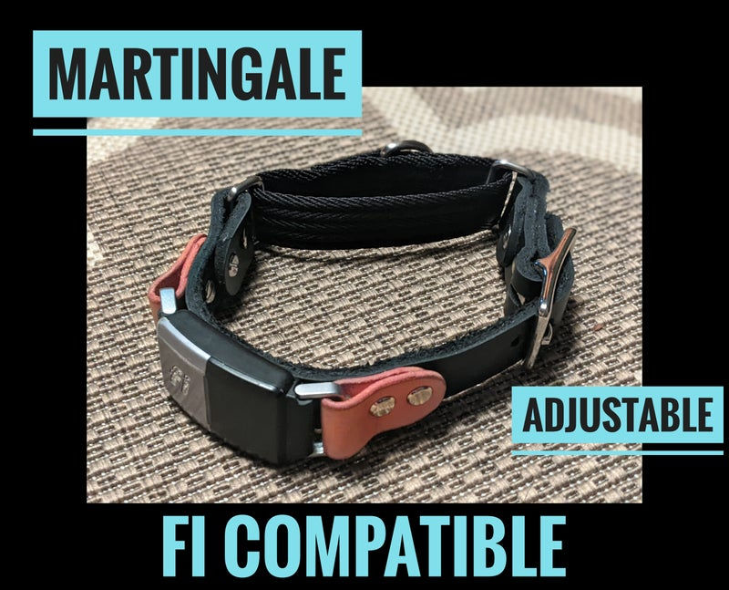 Fi Collar