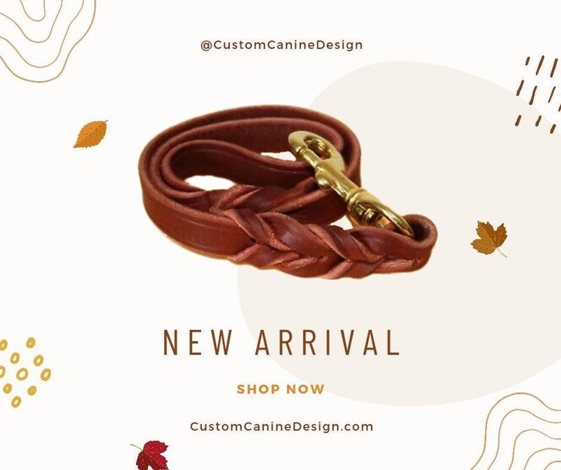 Thumbnail: Dog Traffic Leash Burgundy Latigo Leather and Brass Snap