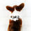 Thumbnail: Leather Bowtie Dog Collar