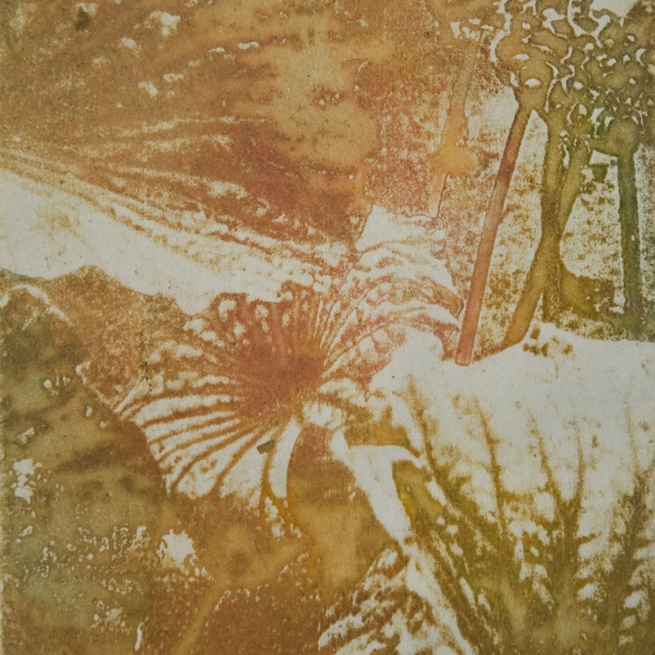 memories of leaves IV