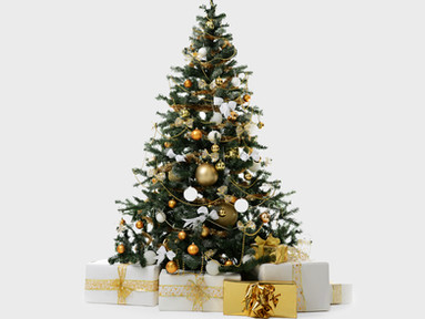 CHRISTMAS OPENING HOURS