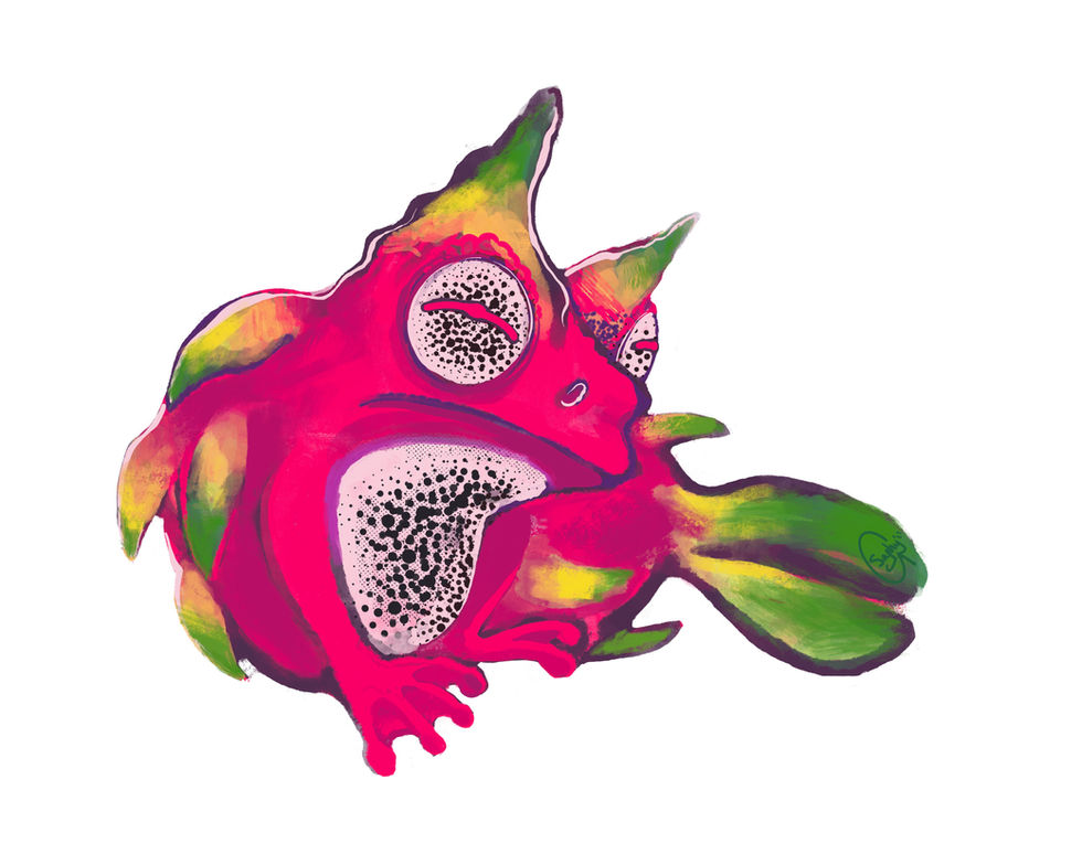 Dragon Fruit Frog