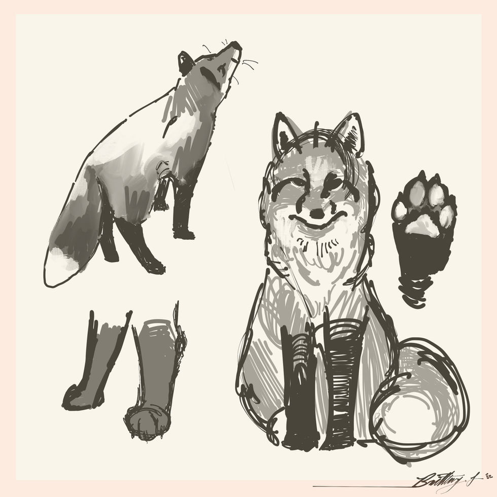 Fox Sketch
