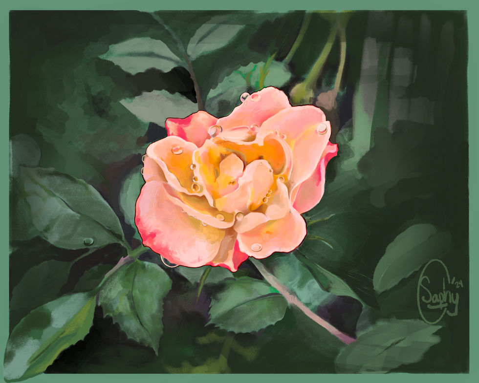 Summer Rose (2024)