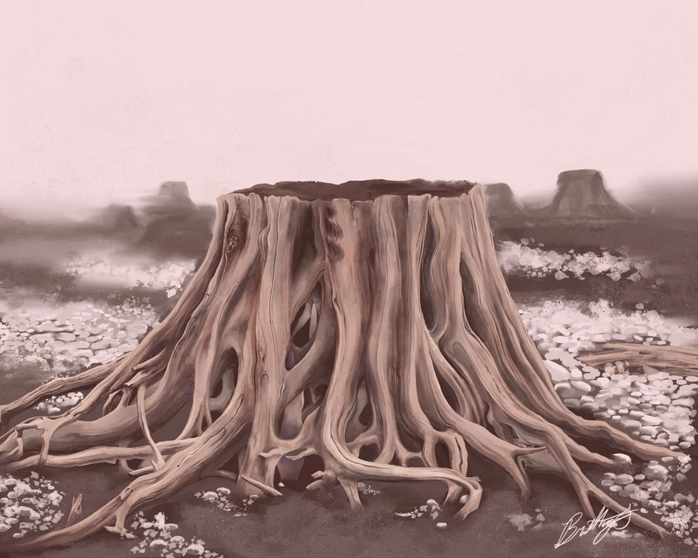 Rattlesnake Lake Stump (2023)