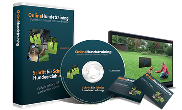Online Hundetraining Paket.png