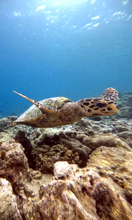 Due isole, un cuore: la mia fuga da sogno a Kuramathi e Dhigali, Maldive