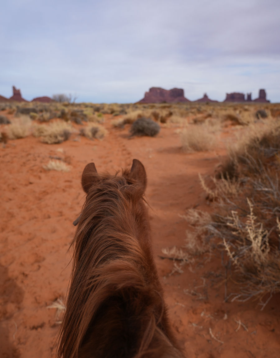 Il viaggio in America, parte 2: l'Antelope Canyon e la Monument Valley a cavallo