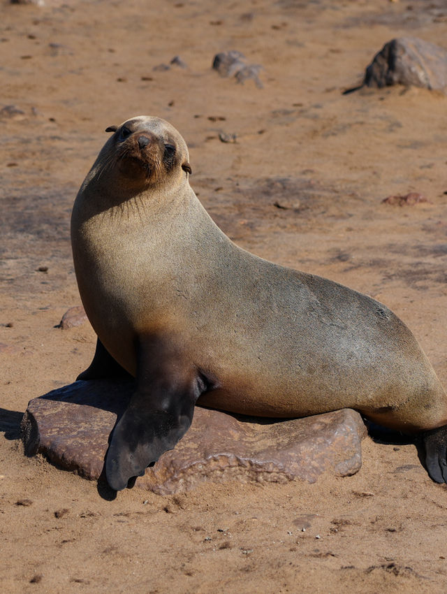 Guida alla Scoperta della Namibia: Un'avventura di 10 Giorni Tra Natura e Lusso - Parte 2