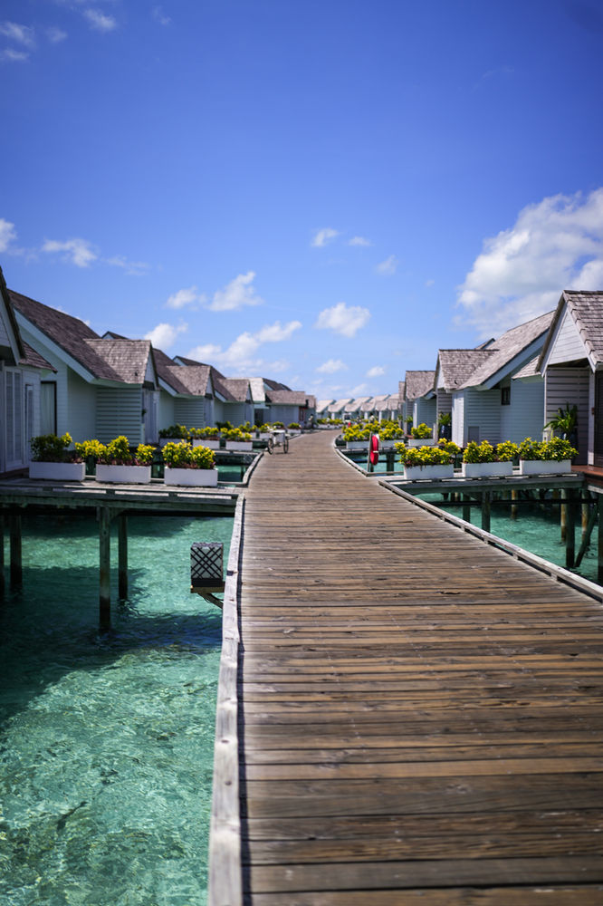 The jetty running out to the overwater villas