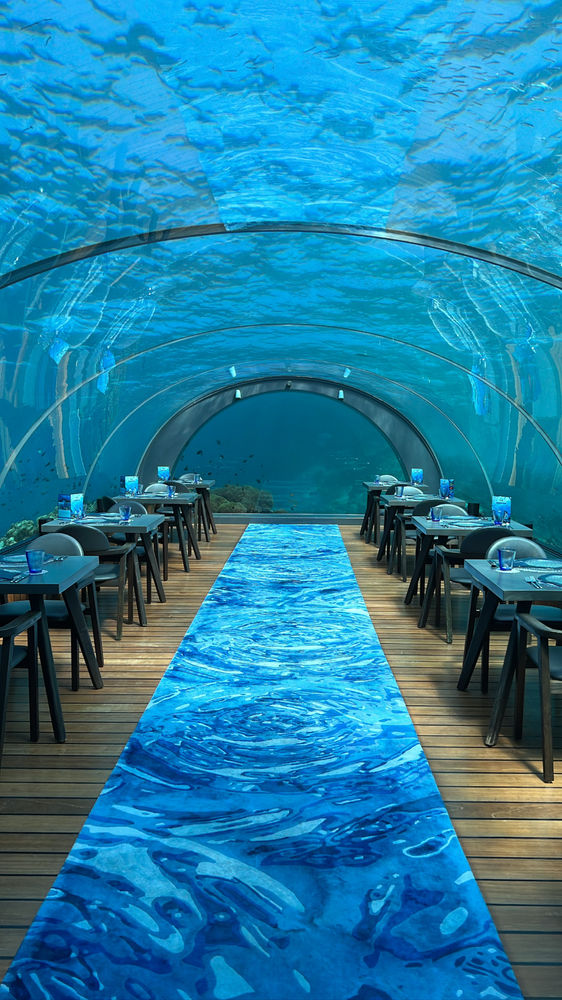 Dining below the surface