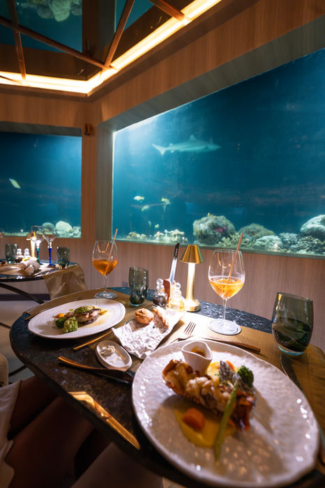 Dinner at M6m, the underwater restaurant six metres below the surface