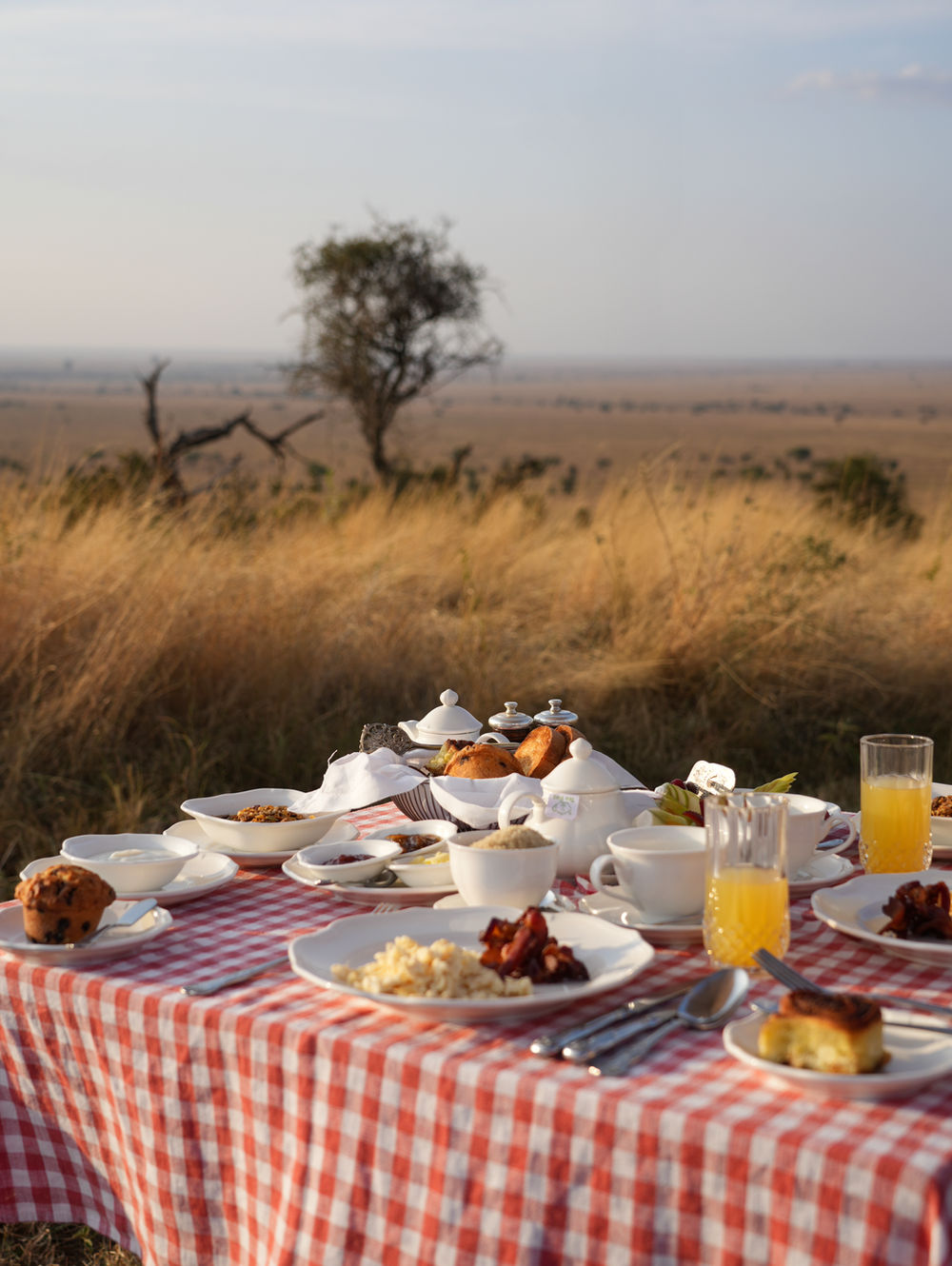 Un Sueño Africano: El Lujo Intacto de One Nature Nyaruswiga en el Serengeti, Tanzania