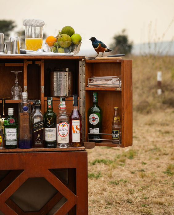 An African Dream: The Untamed Luxury of One Nature Nyaruswiga in Serengeti, Tanzania