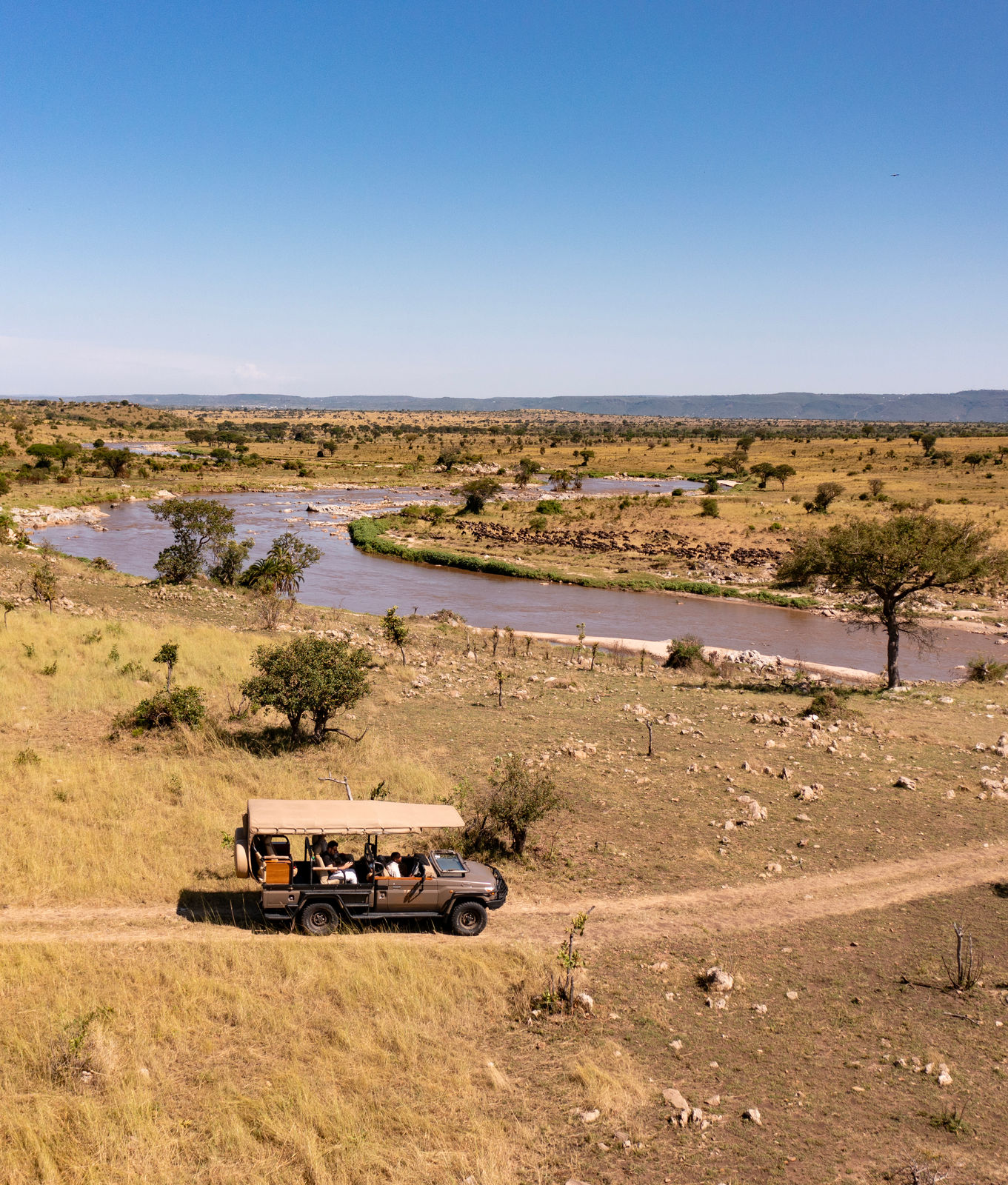 Lujo, Naturaleza y Aventura: Un Viaje Inolvidable en los Resorts One Nature en el Serengeti
