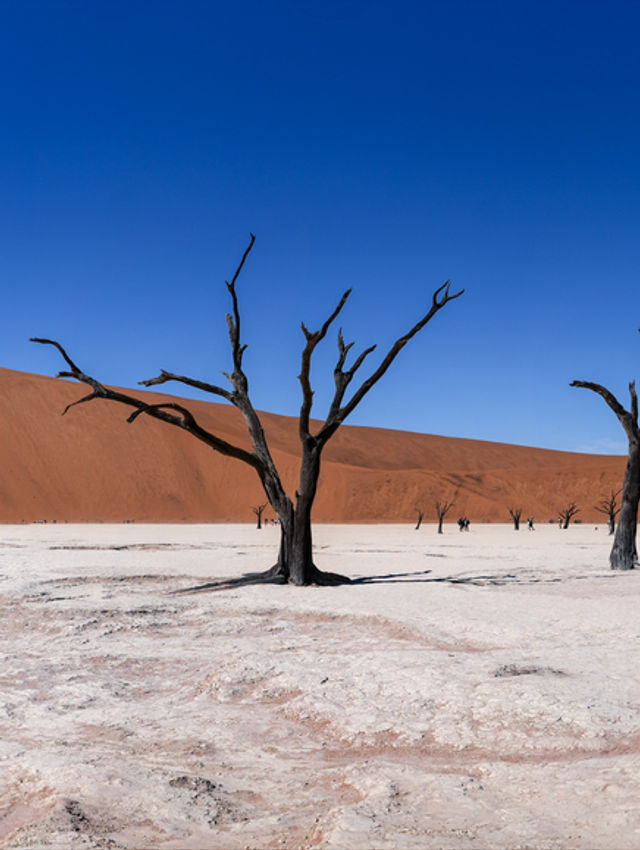 Guida alla Scoperta della Namibia: Un'avventura di 10 Giorni Tra Natura e Lusso - Parte 1