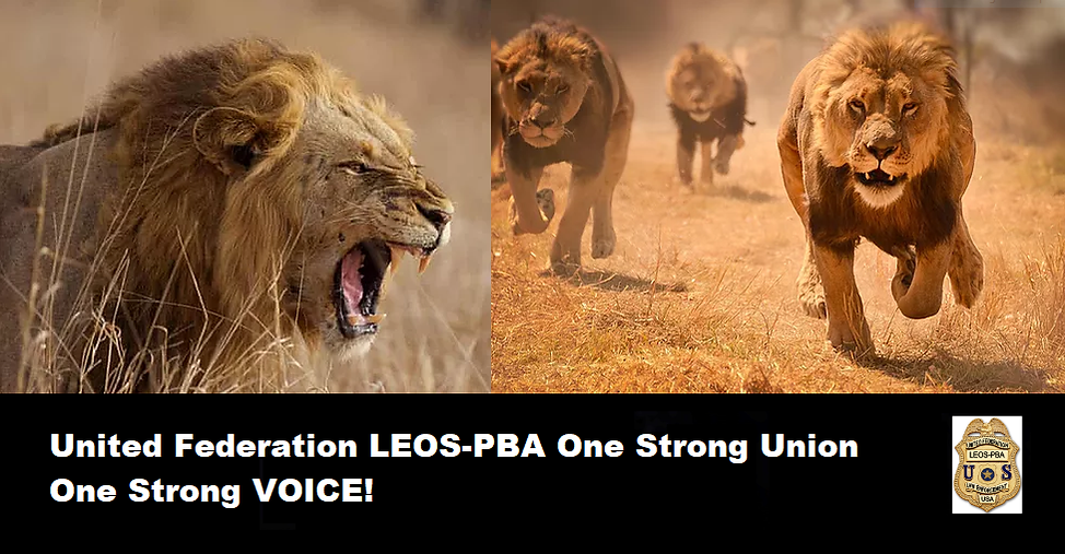 United-Federation-One-Strong-Union-One-Strong-Voice.png