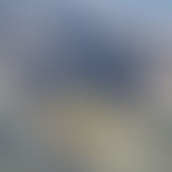 PSONU Files another NLRB Election This Time in Pittsburgh