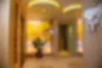 Spa interior with MS Ambience tropical theme wall mural.