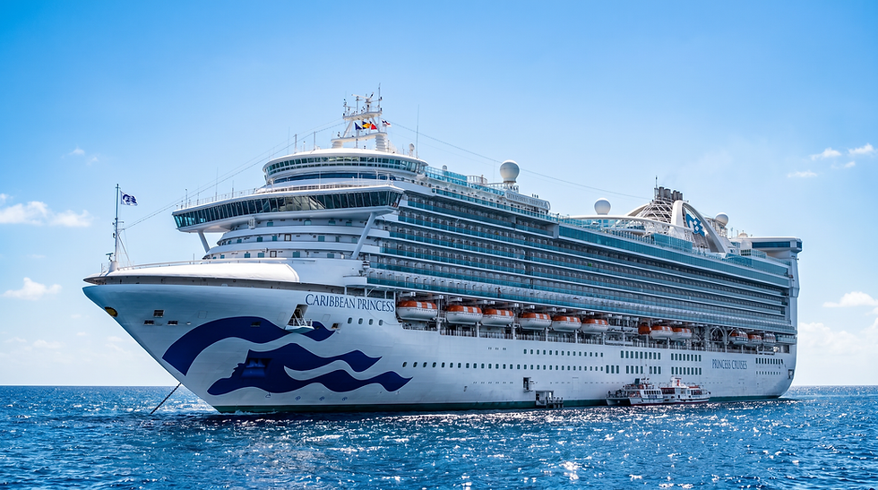 Caribbean Princess cruise ship sailing on calm blue waters
