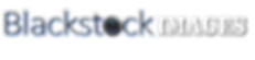 Black stock logo 2.png