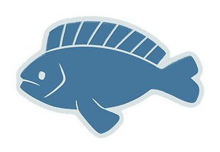 BIGFISH_PNG_01.PNG