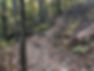 9E481050-A27F-4691-A445-FA78B4637E3F.jpg