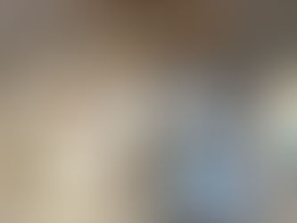 виставка «Об’єднані мистецтвом»